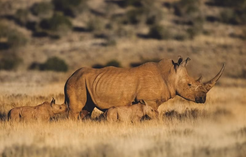 A Guide to Tanzania and Zanzibar Holiday