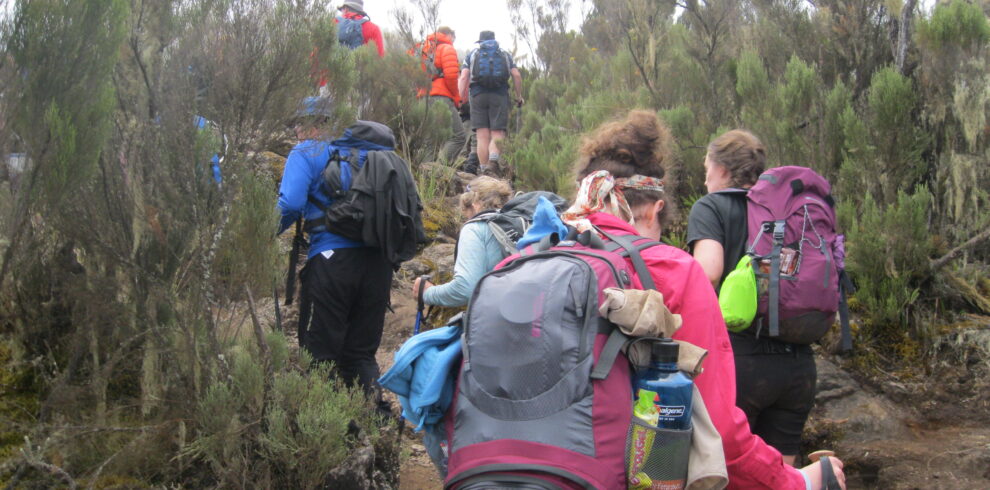 Mount Kenya Climbing Safari