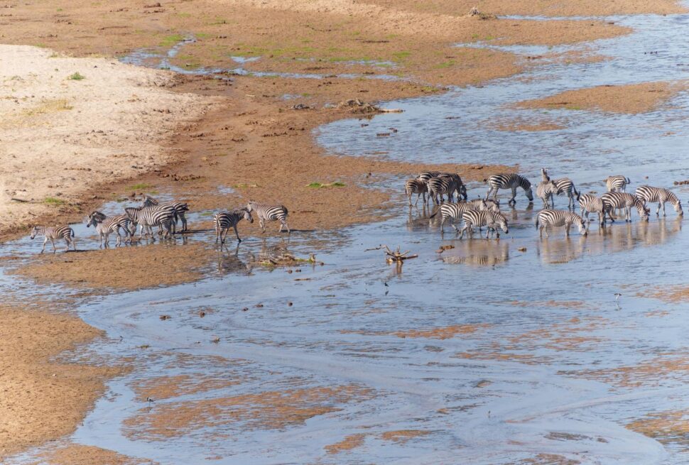 Tarangire National Park Tanzania