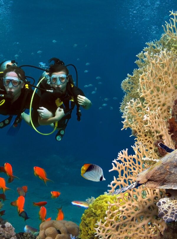 diving and snorkeling in africa