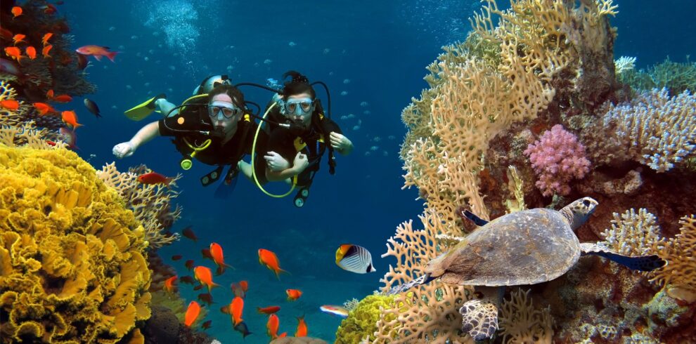 diving and snorkeling in africa