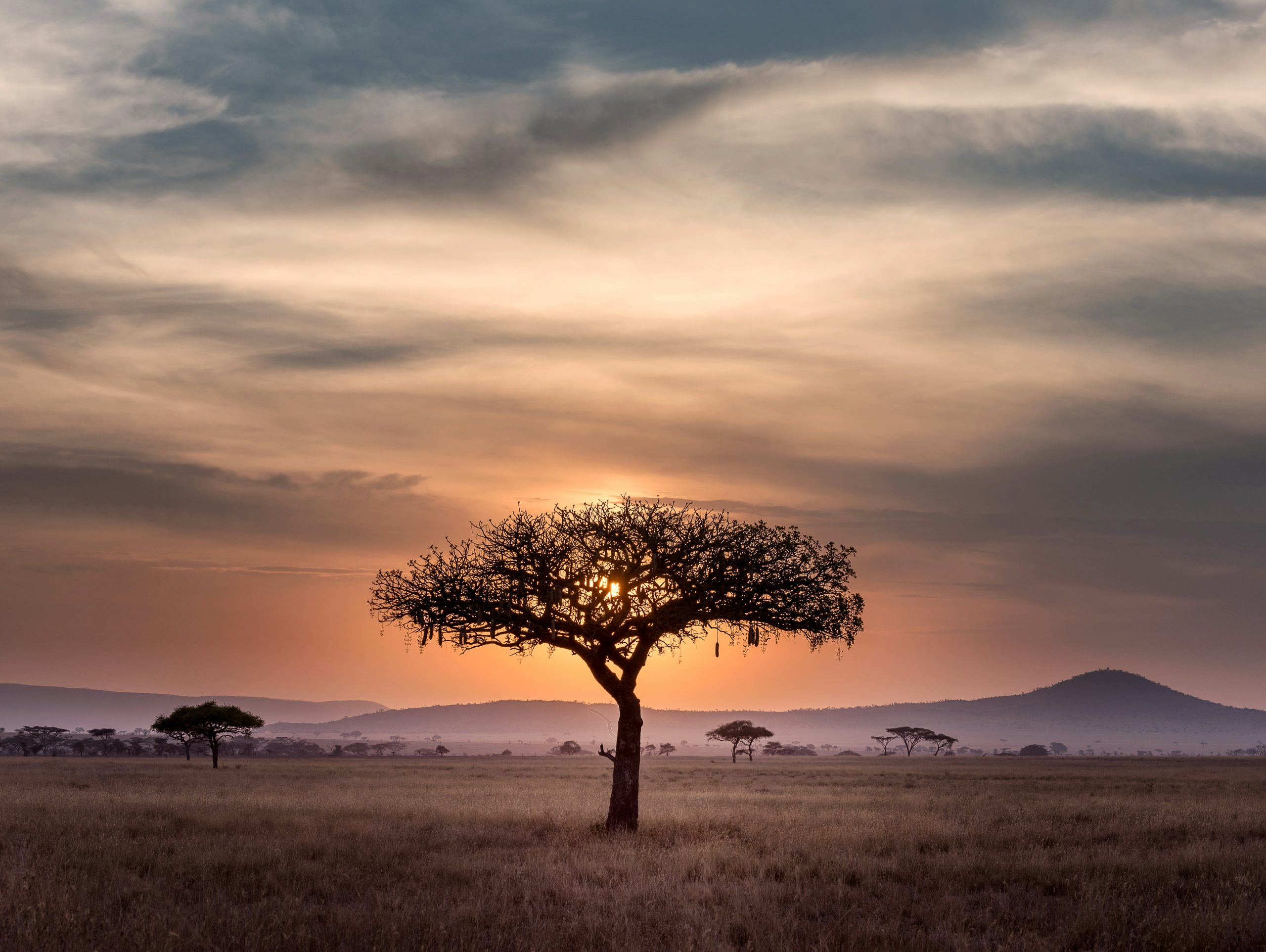 The Rustic Safari Experience