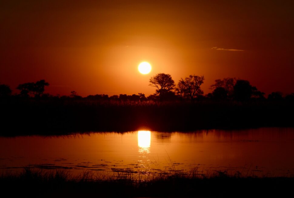 Botswana safari tour