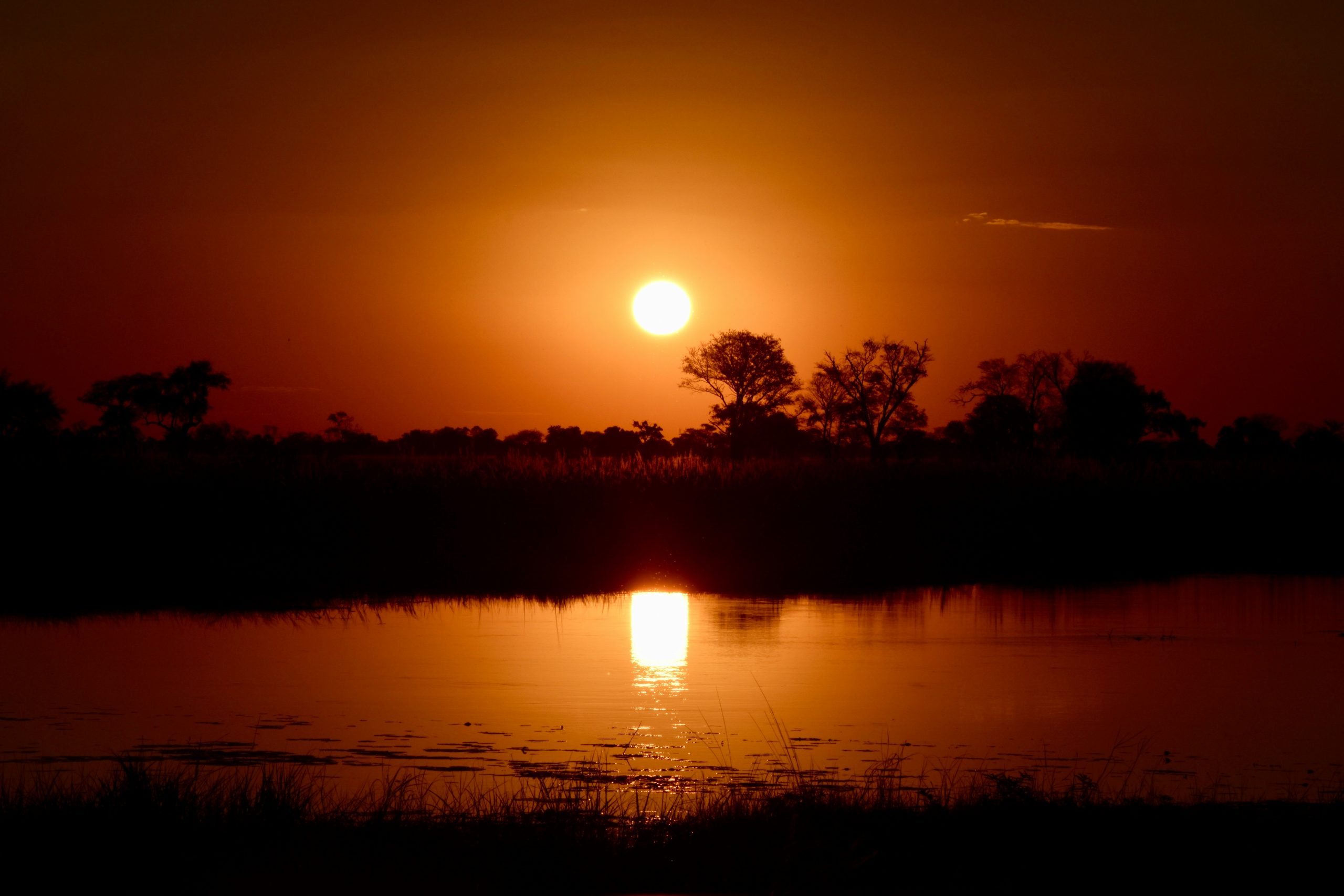 Botswana safari tour