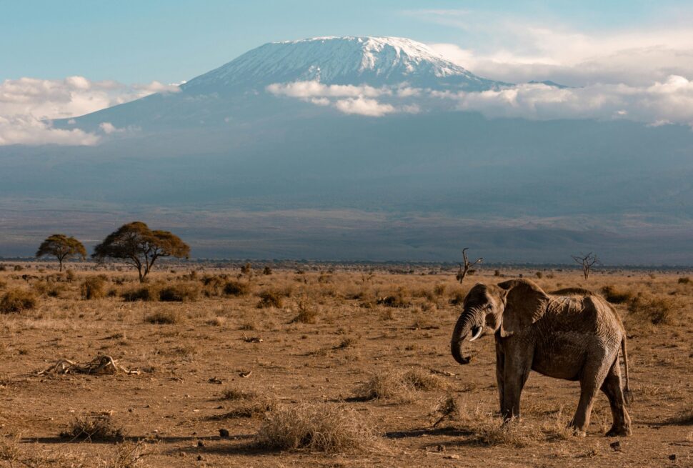Nature Bound Africa's Aberdares to Samburu Safari 