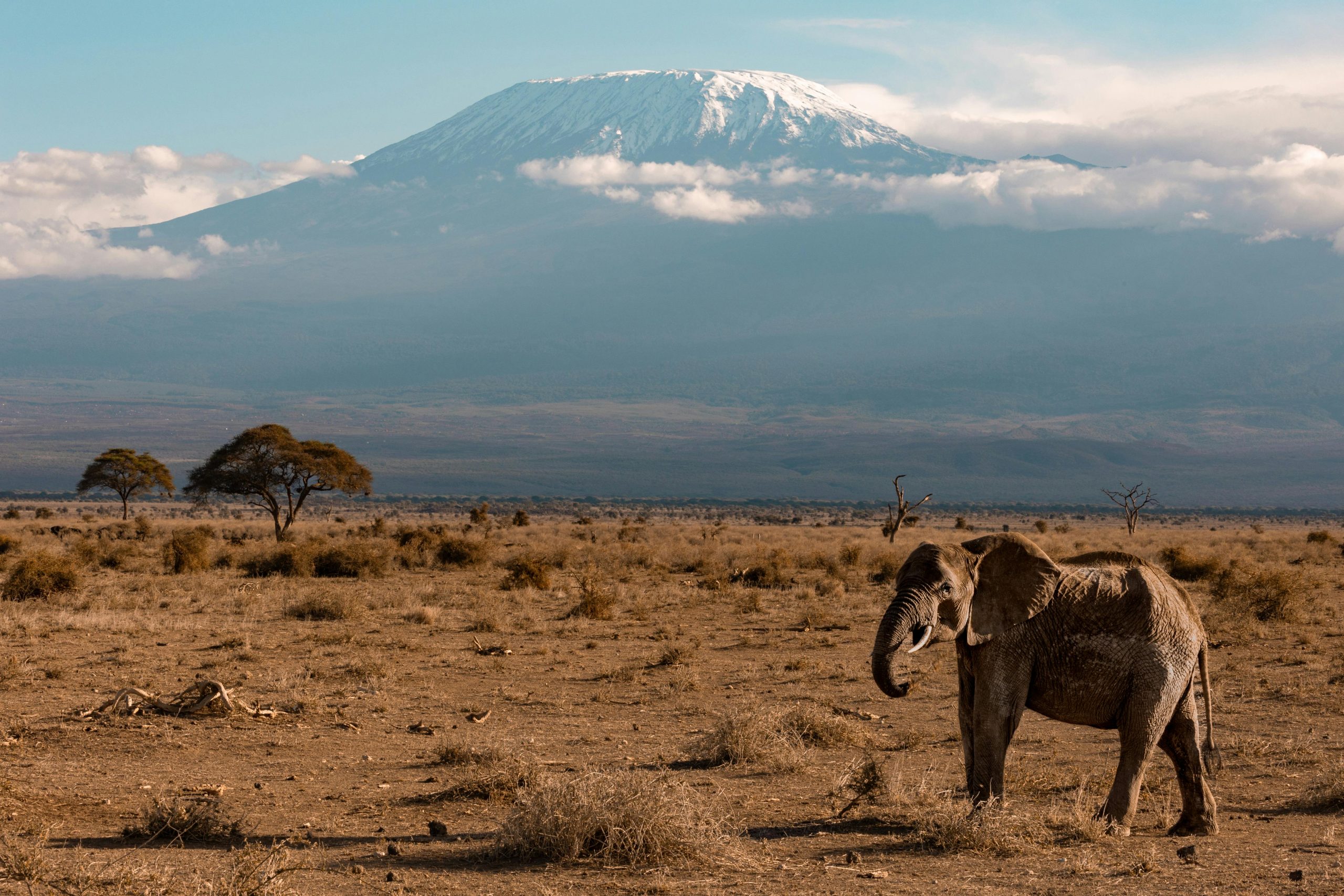 Nature Bound Africa's Aberdares to Samburu Safari 