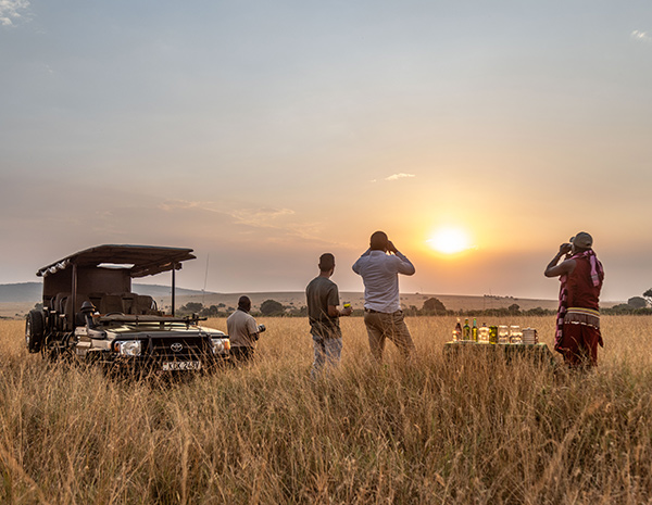 SAFARI TOUR LINKS