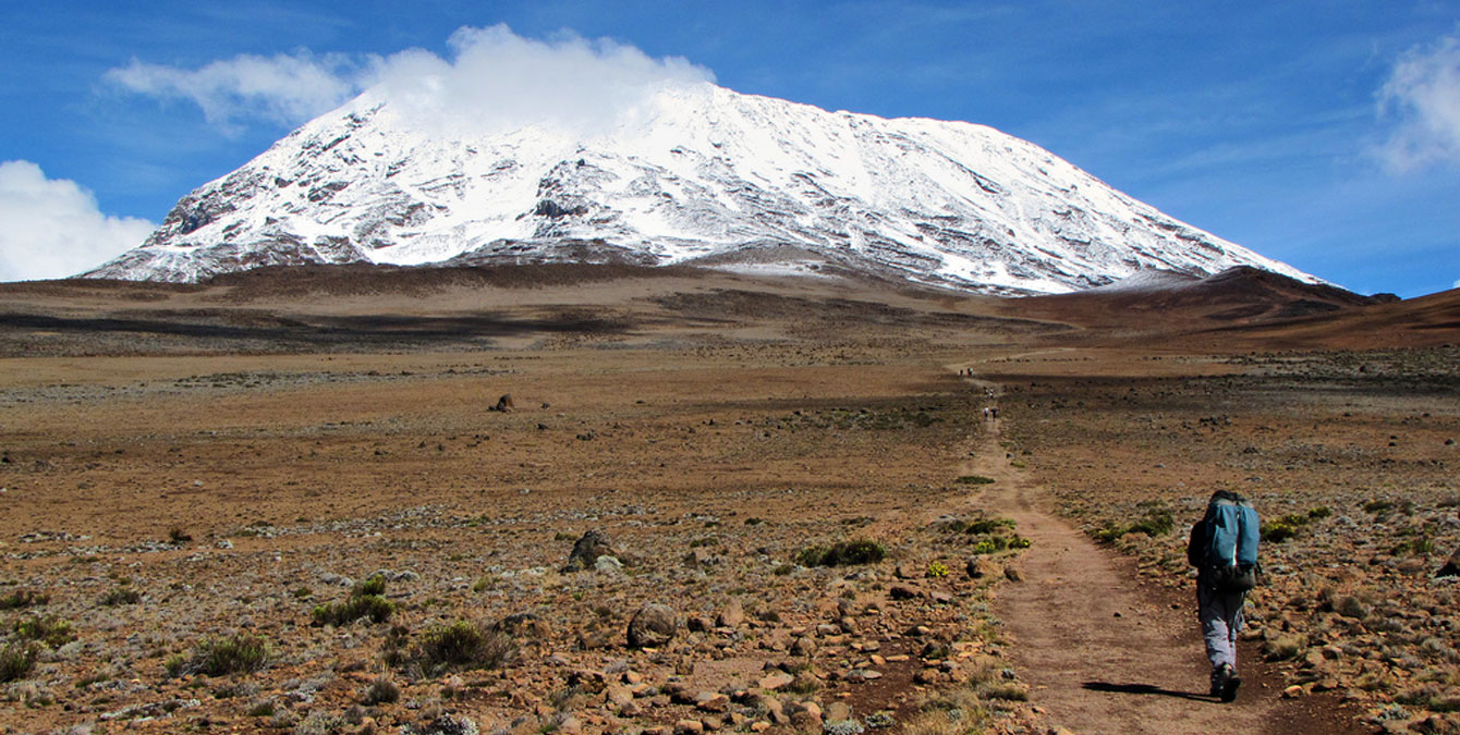 kilimanjaro desert