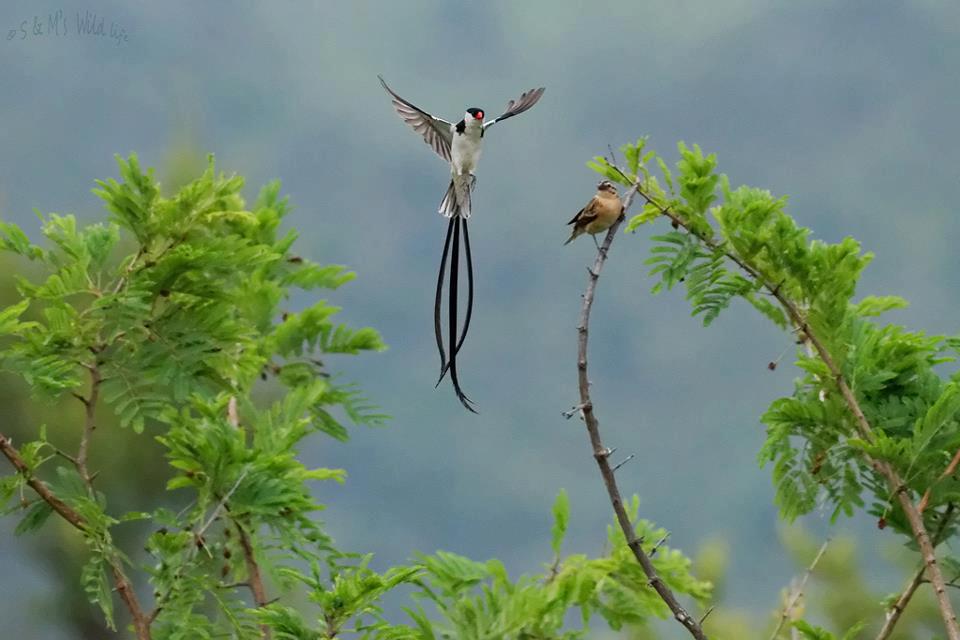 Nasolot National Reserve – Remote Wilderness & Cultural Safari in Northern Kenya