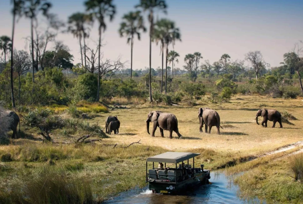 Serengeti National Park Safari Guide 