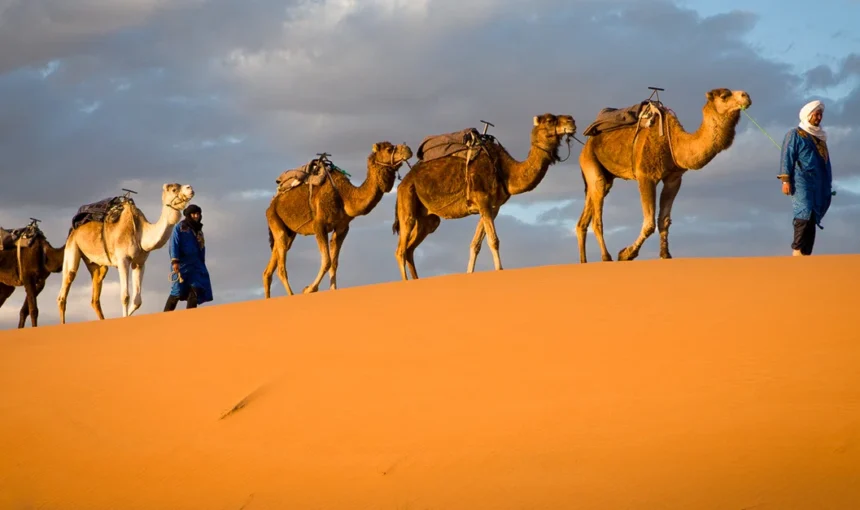 Chad Destination Overview