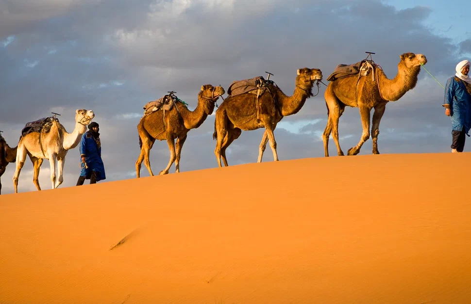 Chad Destination Overview