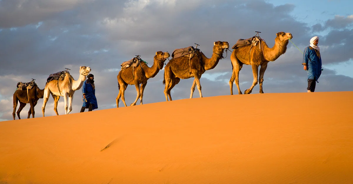 Chad Destination Overview