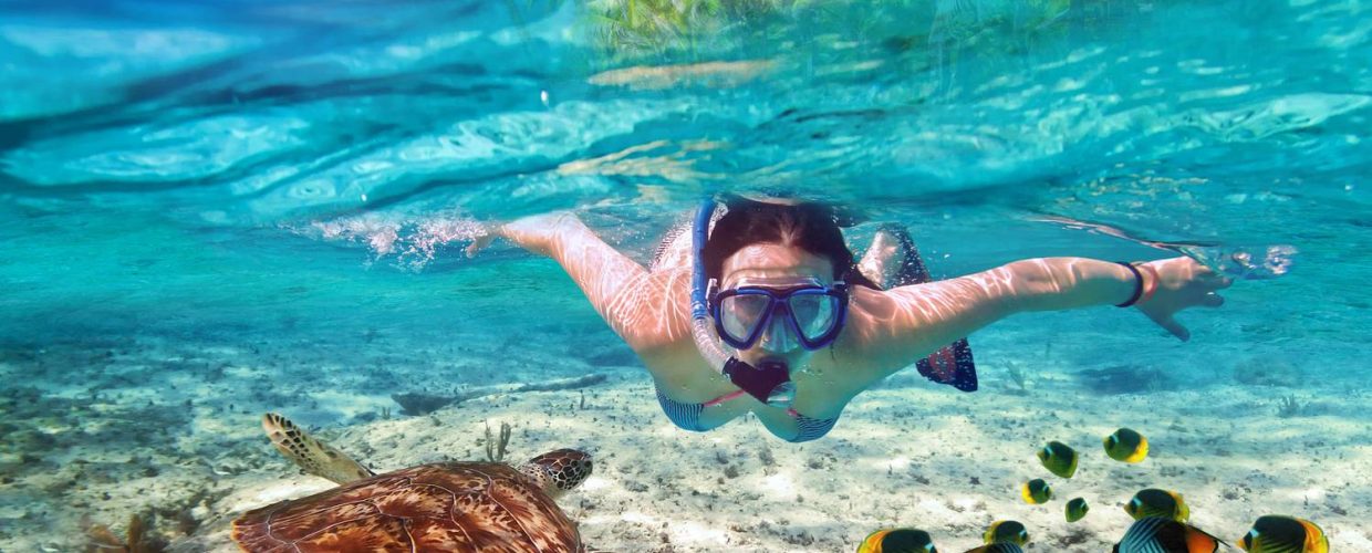 Malindi Marine National Park & Reserve – Snorkeling, Coral Reefs & Coastal Safari in Kenya