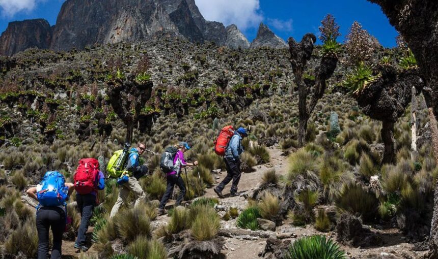 Mount Elgon National Park