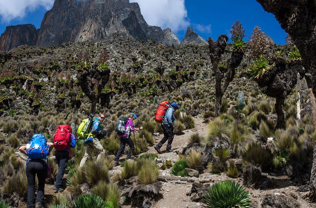 Mount Elgon National Park – Hiking, Caves & Scenic Mountain Adventure in Kenya