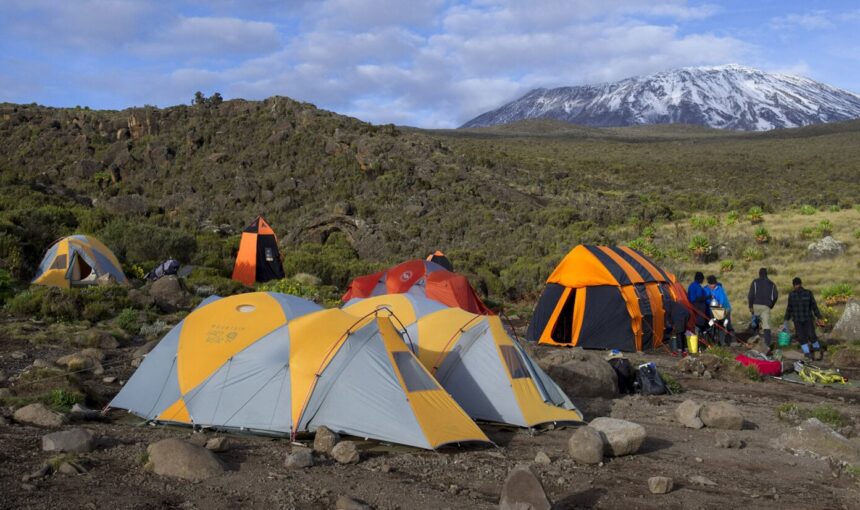 Kilimanjaro Climbing and Safari