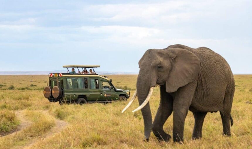 MWINGI GAME RESERVE
