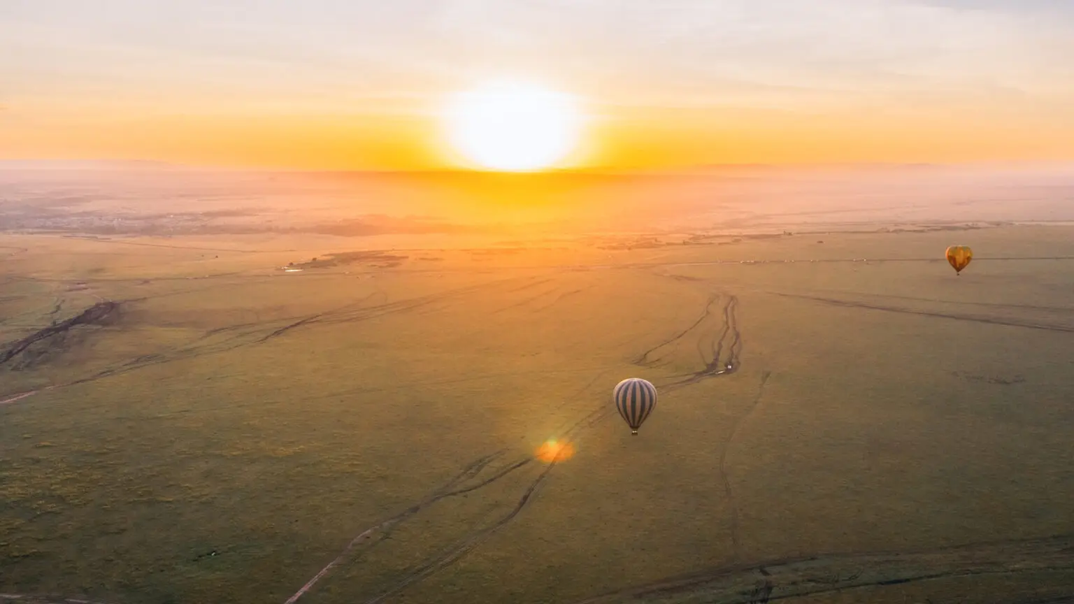 Best Time to Visit Serengeti