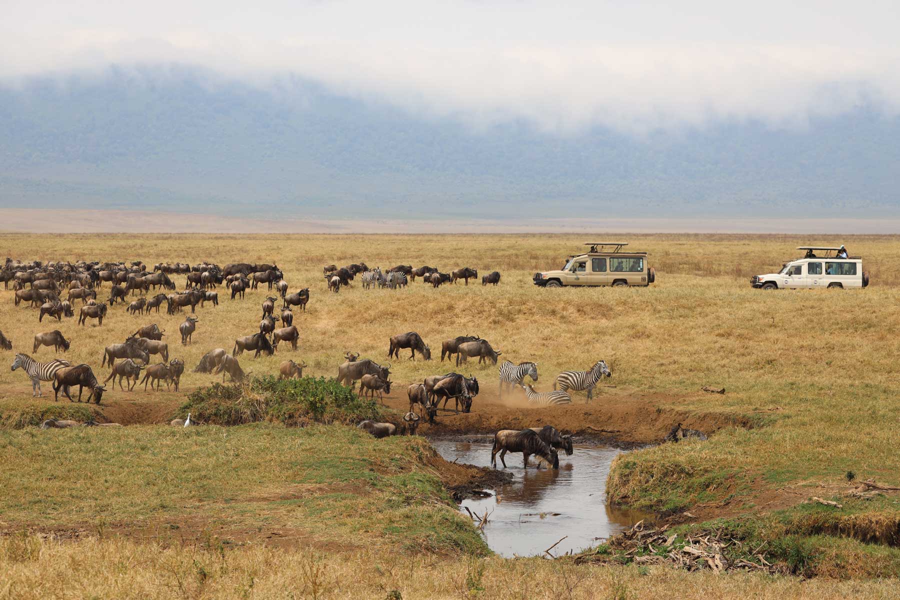 Maasai Mara National Reserve