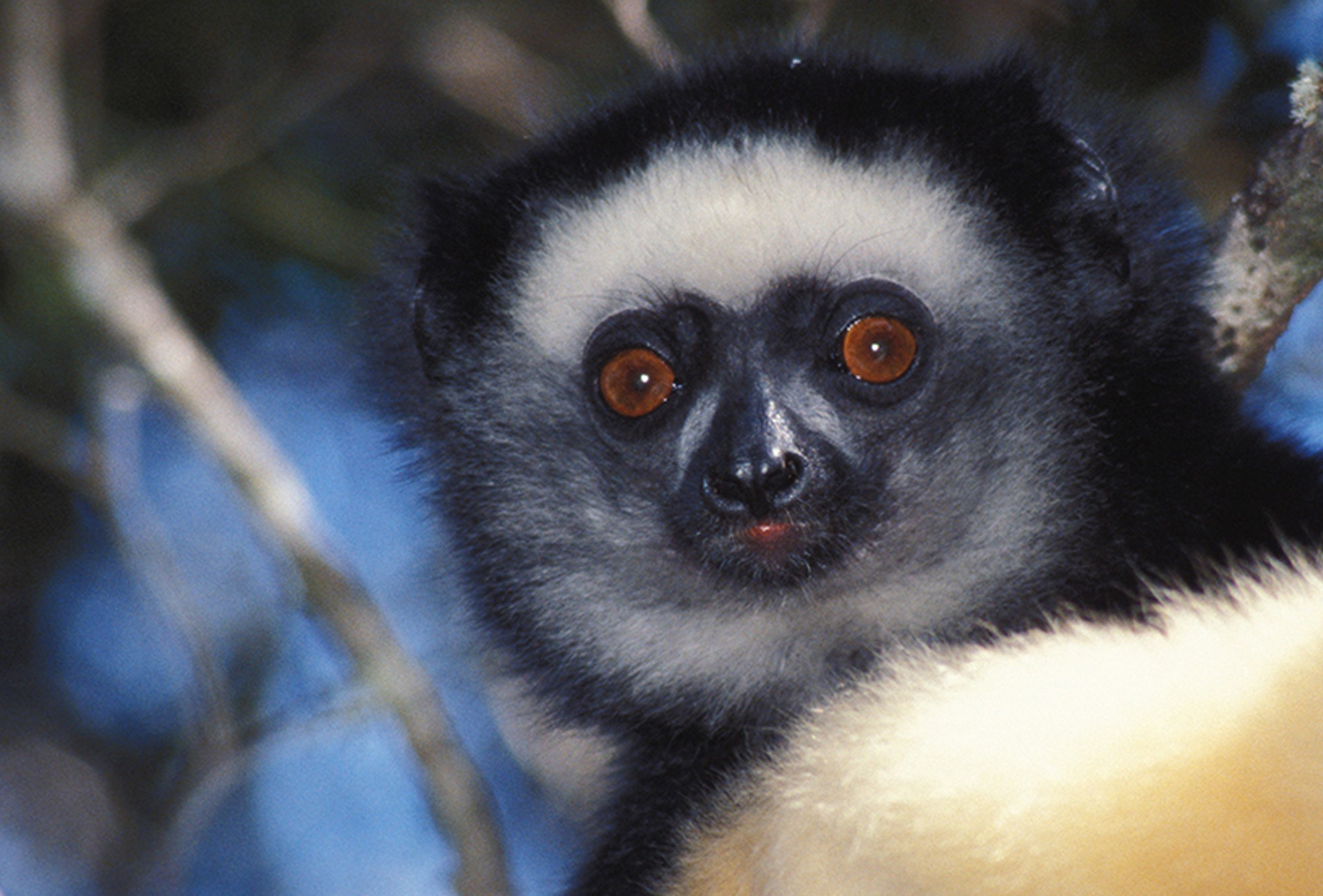 Madagascar Destination Overview