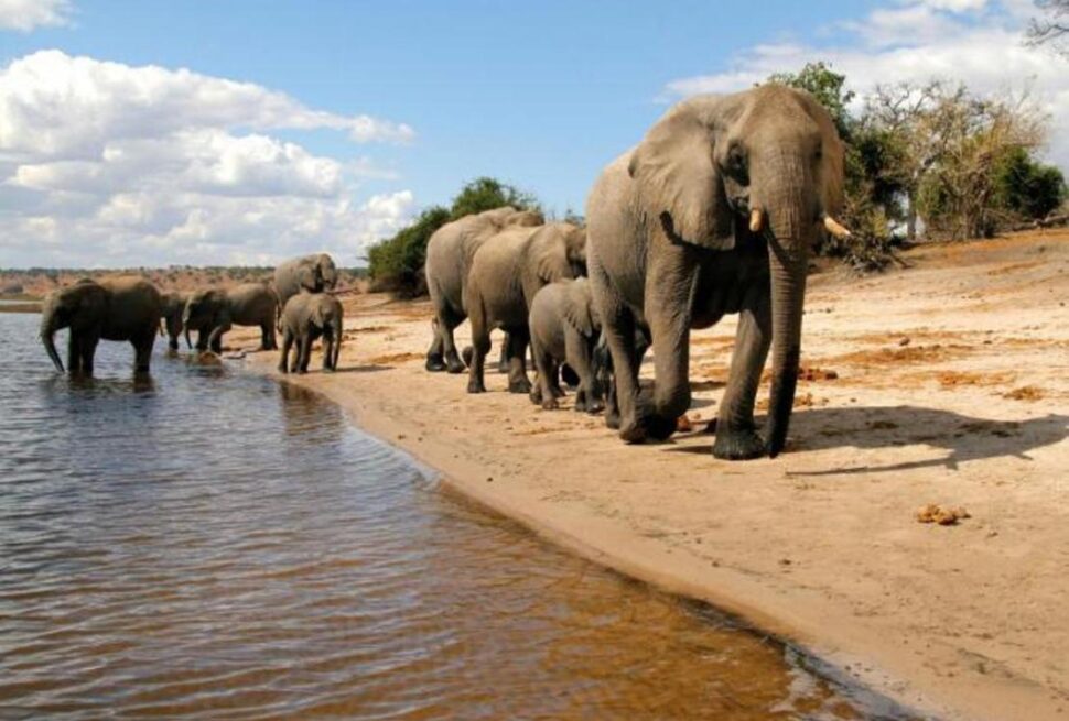 Luxury Tanzania Safari 2026 | Private Serengeti & Ngorongoro Tours