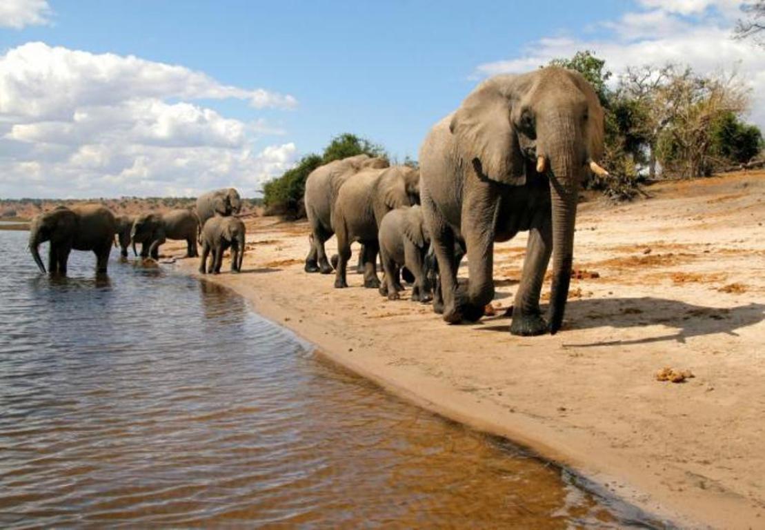 Luxury Tanzania Safari 2026 | Private Serengeti & Ngorongoro Tours
