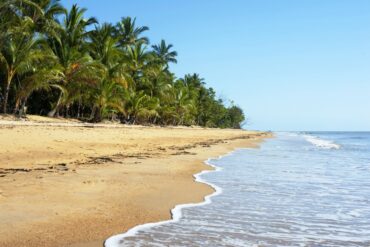 Africa Luxury Safari Holidays 45 LUXURY VS MID-RANGE SAFARI